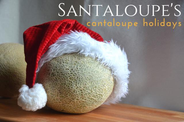 Santaloupe_0