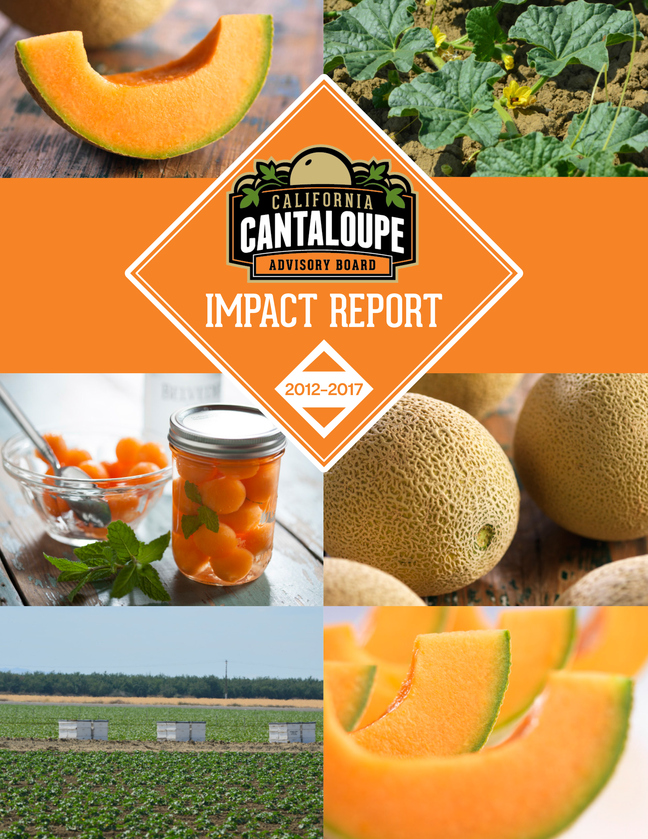 CCAB Impact Report 2012-2017 cover