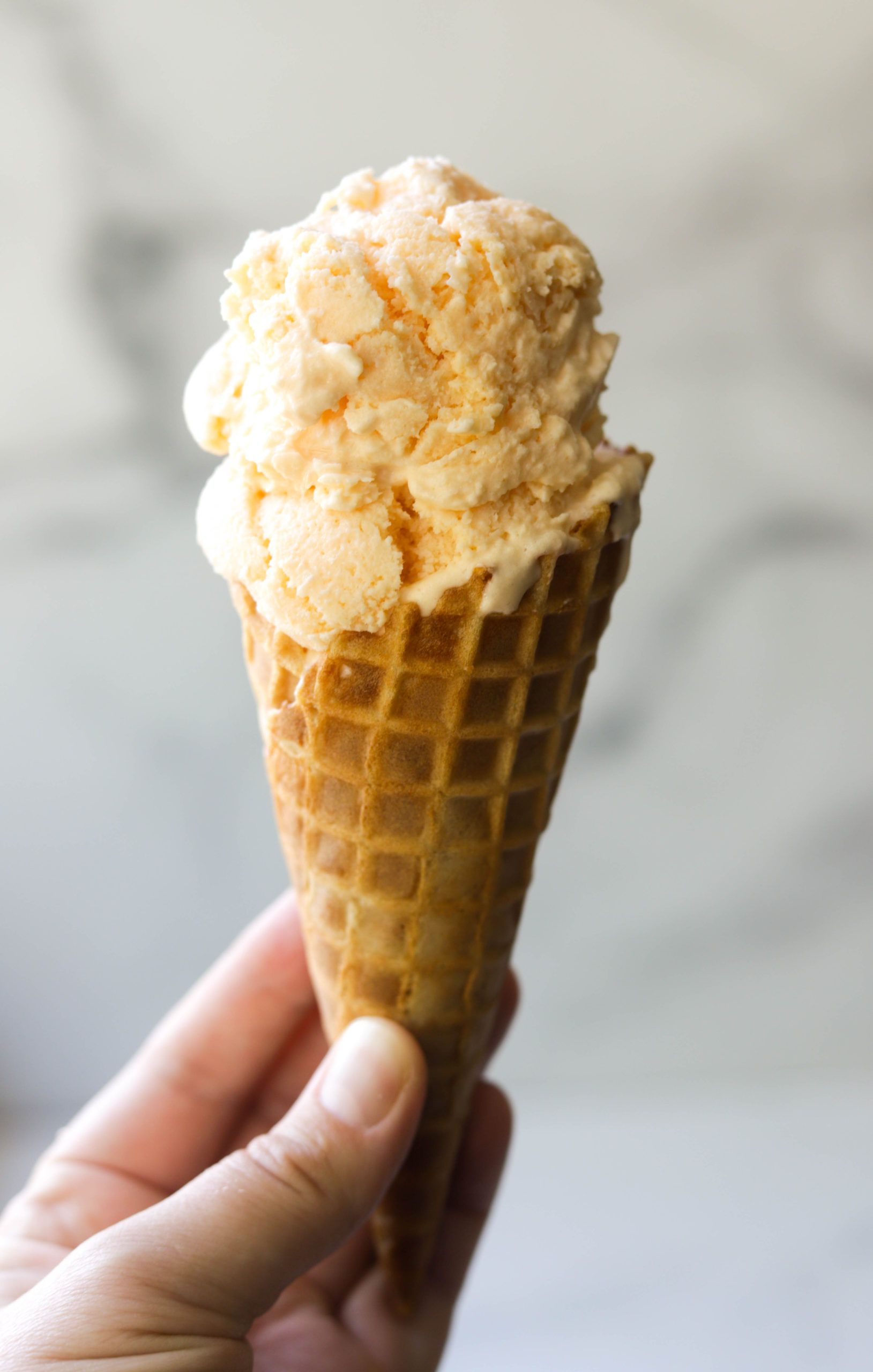 No Churn Cantaloupe Ice Cream – California Cantaloupes