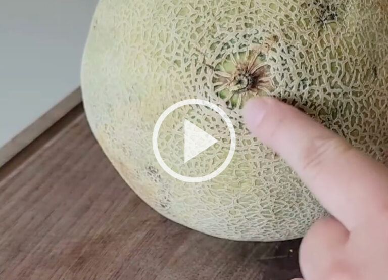 finger pointing to fruit