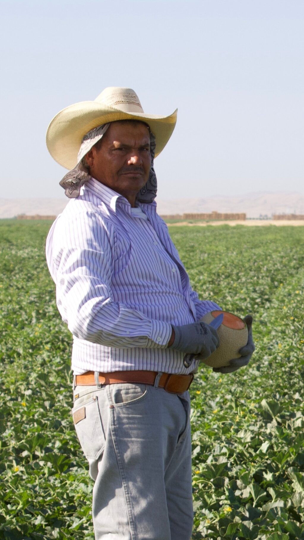 This National Farmworker Day, we’re celebrating the incredible people who help bring fresh cantaloupe to your table 🍈

Farmworkers are essential to our food supply, and their hard work never goes unnoticed. Take a moment today to think about the many hands behind the food you love and drop a 💚 in the comments to show your appreciation!