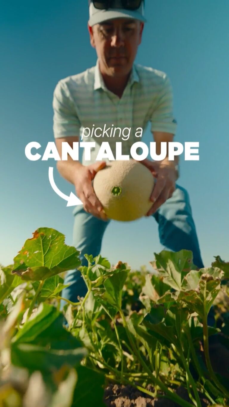 Smell it? ❌
Knock on it? ❌
Roll it around? ❌

When it comes to California cantaloupes, there's no guessing game.

Our growers do the hard work before the melon ever leaves the field. California-grown cantaloupes must meet minimum sugar levels before harvest, so every melon is picked for sweetness and flavor.

Just pick one up, take it home, and dig in.