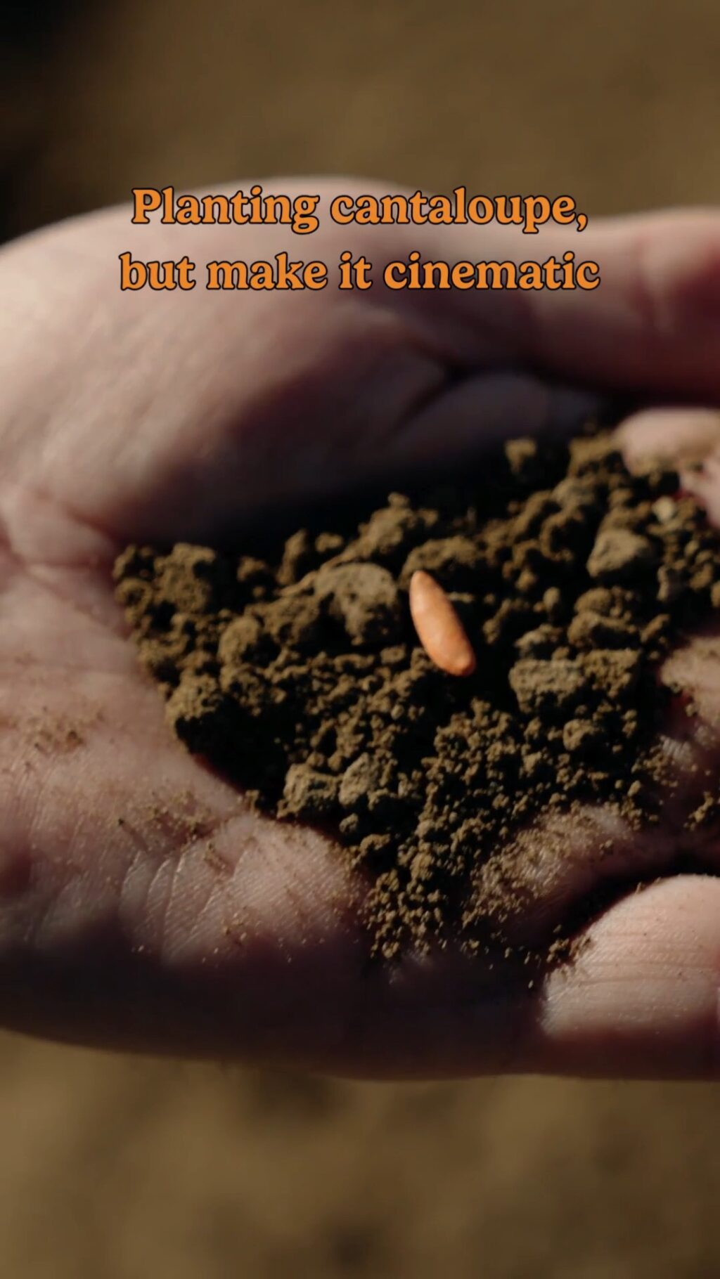 Just another day in the office 🌱🤠

These melons are just getting their start, cantaloupes take about 100 days from seed to table, so this field will be ready mid-summer. But here’s the sweet part: California farmers stagger their plantings, which means fresh cantaloupes will be rolling into stores from May all the way through October.

Some fields were planted earlier… and those first juicy melons are almost here 👀🍈

Countdown to cantaloupe season: 16 days!