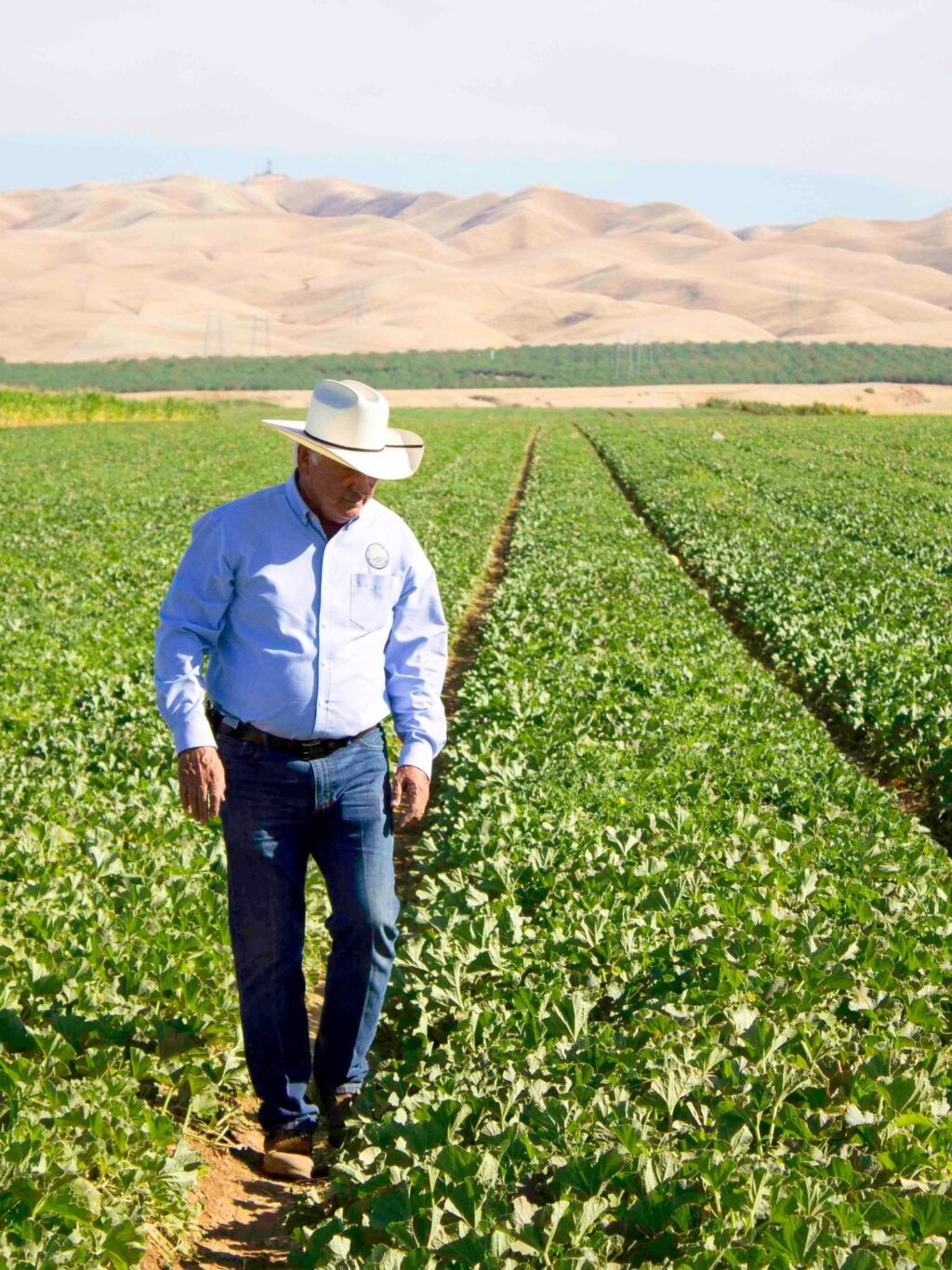 Cantaloupe farmers know that without California’s rich soil and ideal climate, cantaloupe wouldn’t thrive the way it does. Because of this, California cantaloupe growers celebrate #EarthDay with extra appreciation for the environment that makes it all possible. That appreciation shows up every day in the care and attention they give to the land. 🧡 💚

DYK: Cantaloupes require very little water and actually thrive in arid climates!

Countdown to cantaloupe season: 23 days!